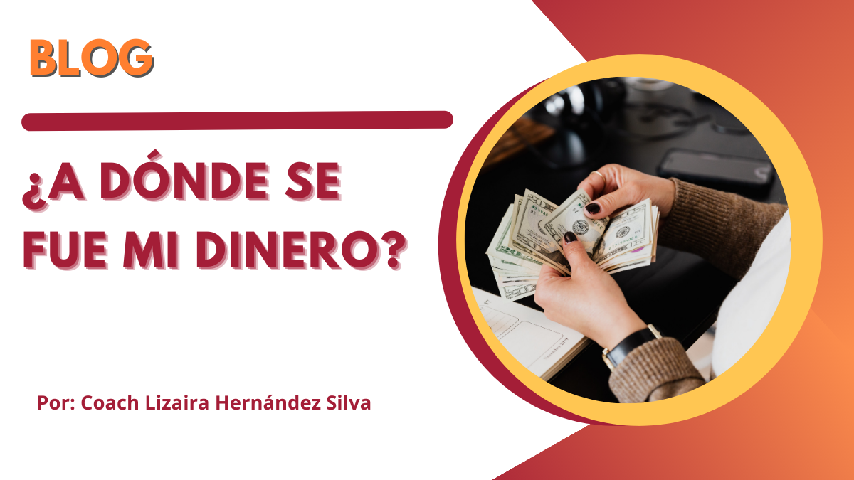 ¿A dónde se fue mi dinero?