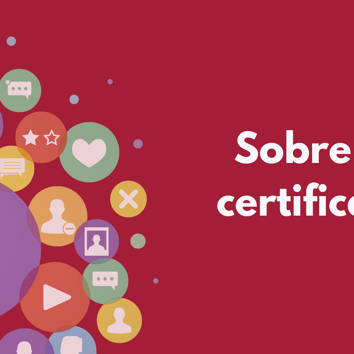 Detalles del Certificado Profesional en Digital Marketing
